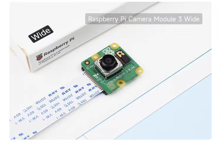 Raspberry Pi 4 Thermische Fish - Raspberry Pi Thermal Camera Mipi recensie en prijs